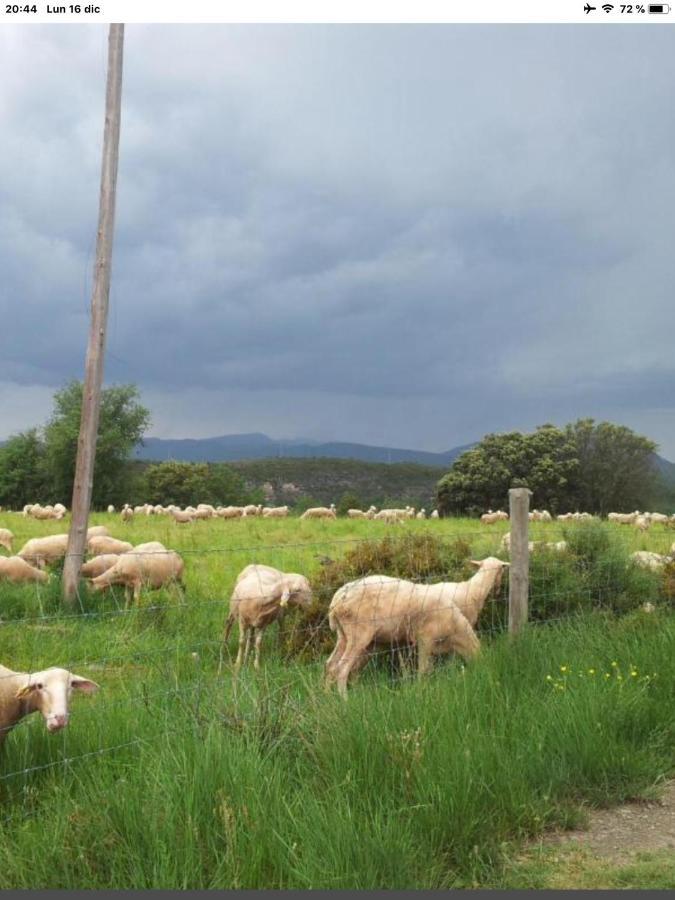 Vistas A La Montana En Un Pueblo Con Encanto. El Pueyo de Araguás المظهر الخارجي الصورة
