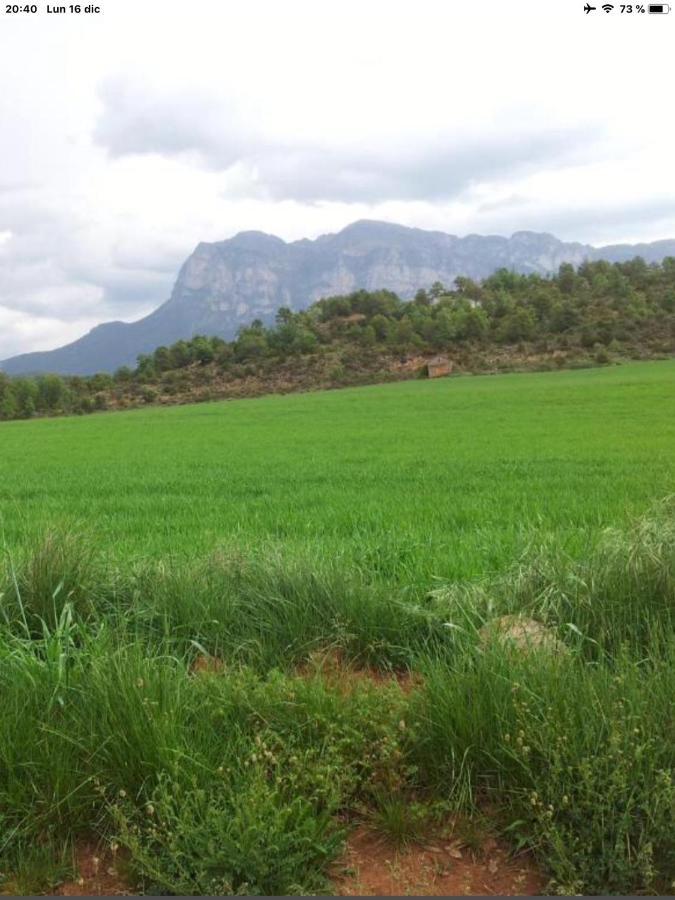 Vistas A La Montana En Un Pueblo Con Encanto. El Pueyo de Araguás المظهر الخارجي الصورة